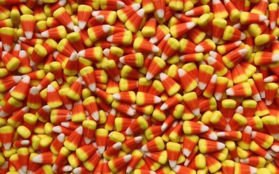 What not to expect from a fractional sales leader