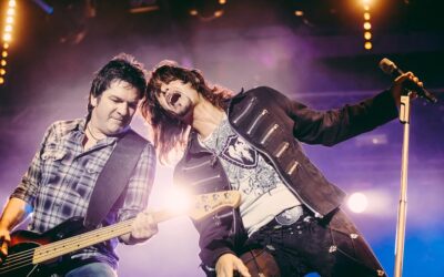 What can business owners expect from a fractional sales leader