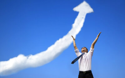 Option 6: Fractional sales leader